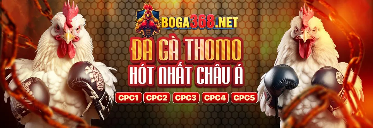 Cá cược bóng đá ok9 link